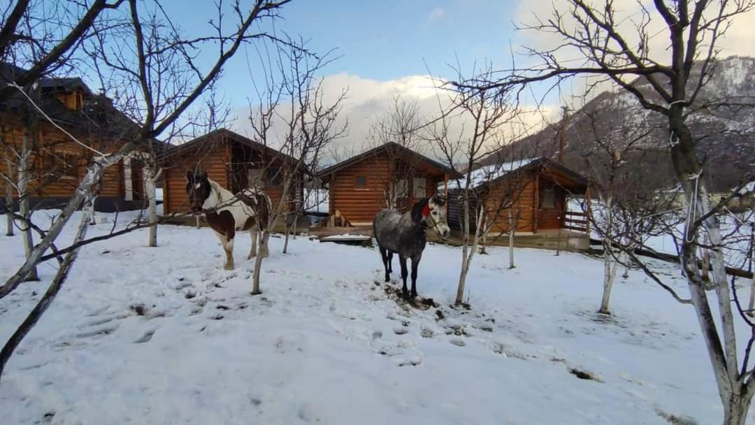 Holiday Bungalows & Food Plav Exterior foto